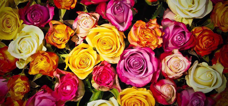 Meade's Florist